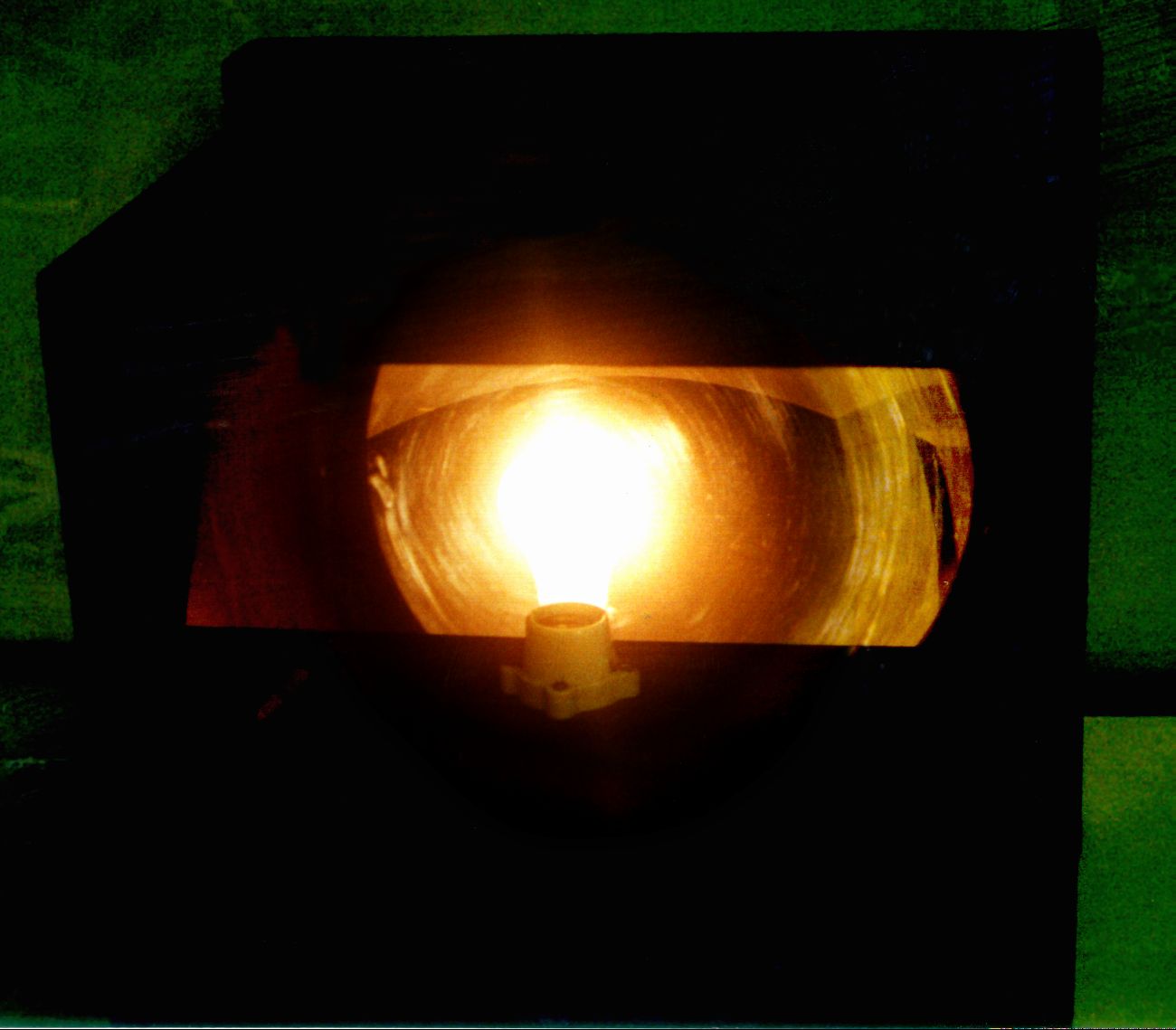 pix of bulb image